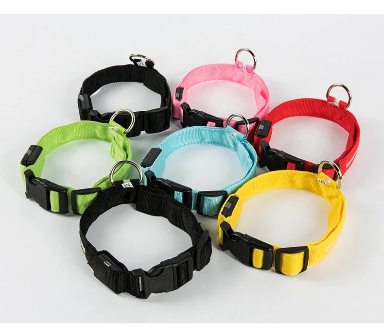 LED Glow Dog Leash & Collar – Nylon Flashing Safety Pet Leash for Night Walking