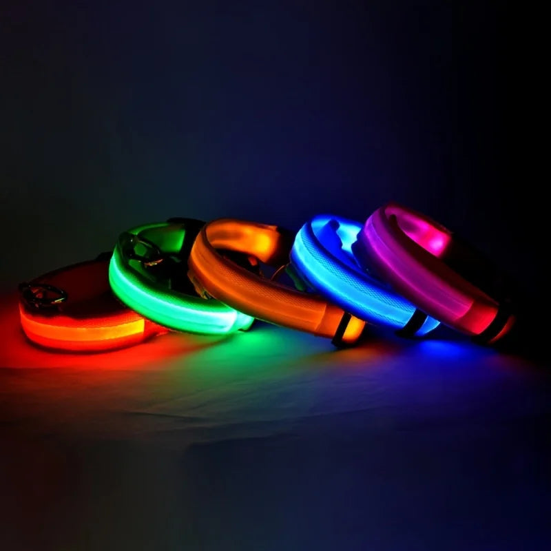 LED Glow Dog Leash & Collar – Nylon Flashing Safety Pet Leash for Night Walking