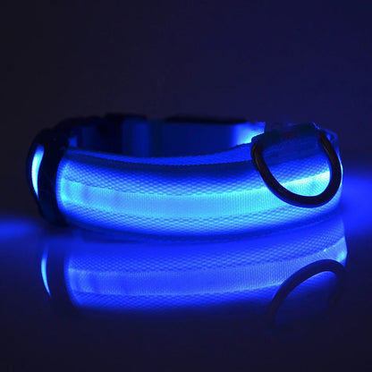 LED Glow Dog Leash & Collar – Nylon Flashing Safety Pet Leash for Night Walking