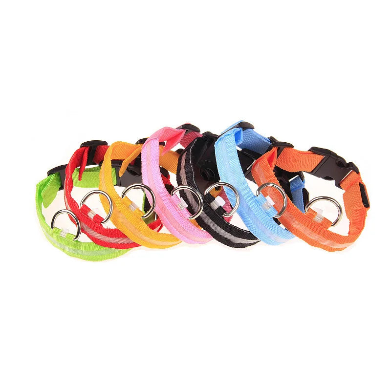 LED Glow Dog Leash & Collar – Nylon Flashing Safety Pet Leash for Night Walking