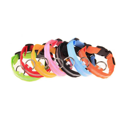 LED Glow Dog Leash & Collar – Nylon Flashing Safety Pet Leash for Night Walking