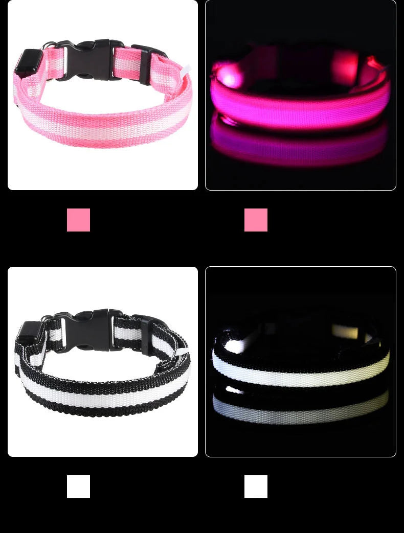 LED Glow Dog Leash & Collar – Nylon Flashing Safety Pet Leash for Night Walking